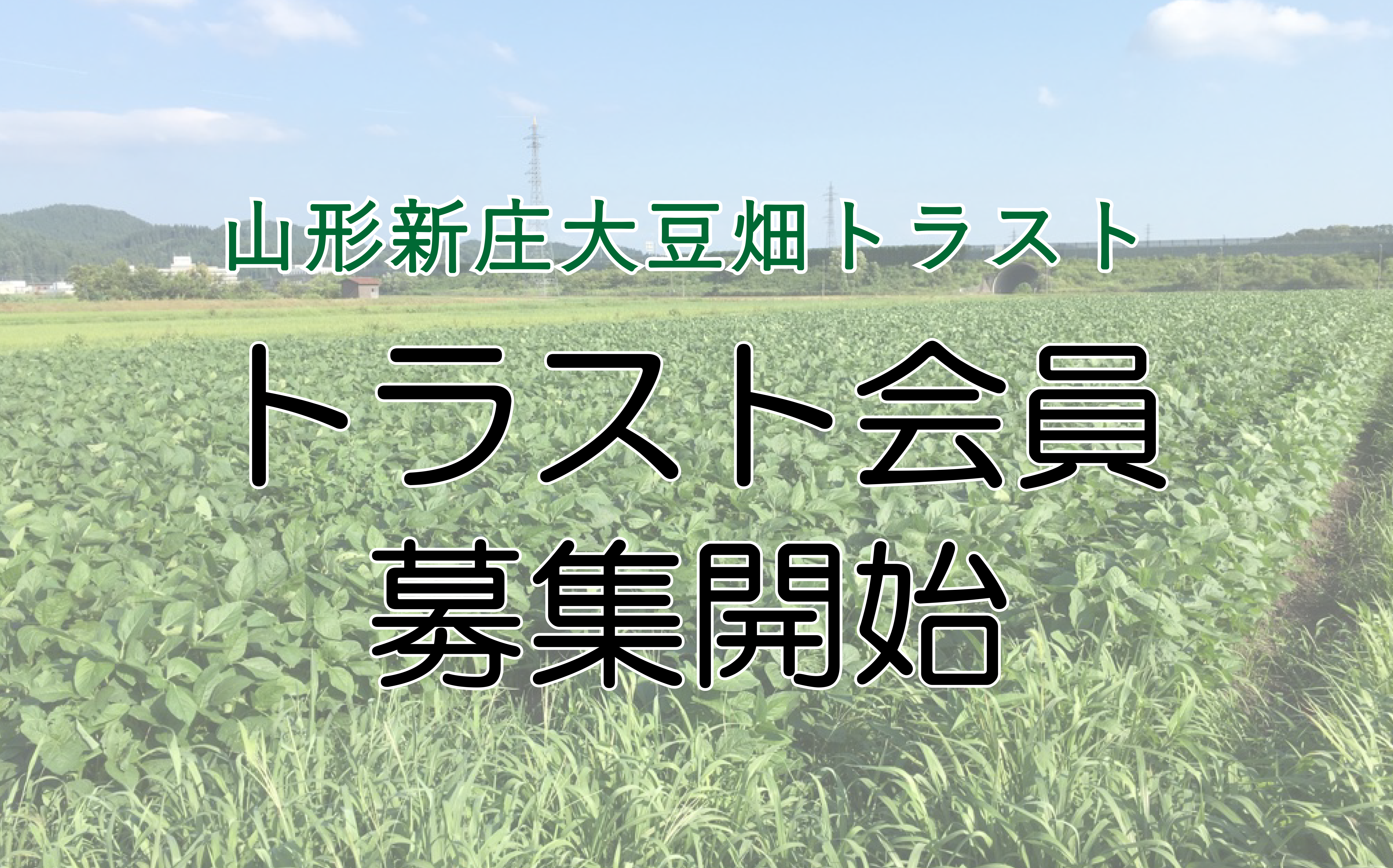 2022年度トラスト会員を6月より募集開始しています！