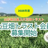 2025年度大豆畑トラスト会員を6月より募集開始しています！
