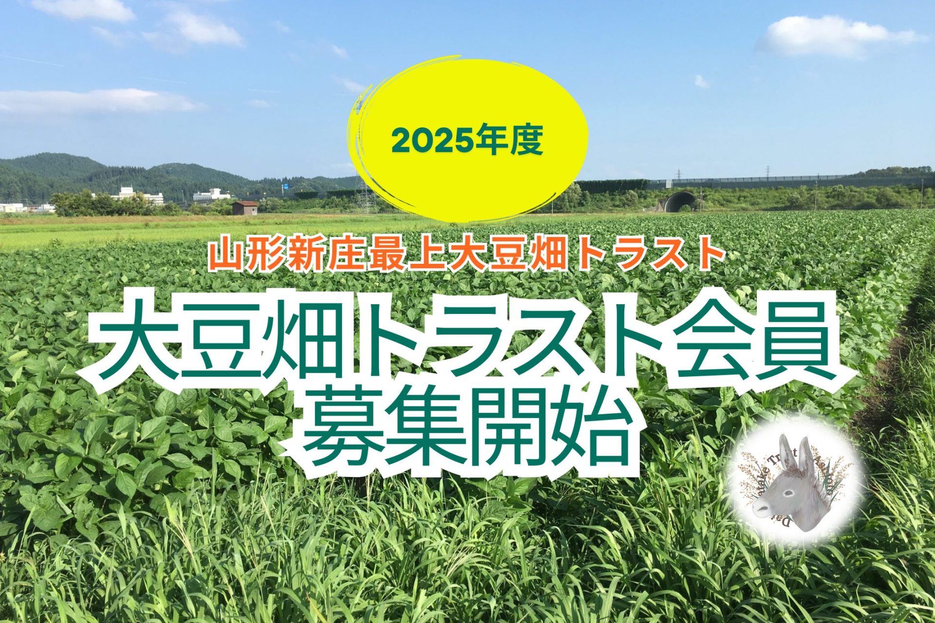 2025年度大豆畑トラスト会員を6月より募集開始しています！ - 山形新庄